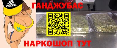 гидра Ставрополь